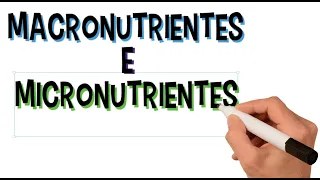 O Que São Macronutrientes e Micronutrientes, Para Que Servem | Funções | Diferenças | Resumo