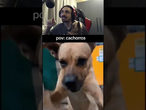 Pov: Cachorros Com o Meu Cachorro kkkk #shorts