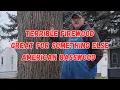 The American Basswood low heat output but great for wood carving Wood Wednesday