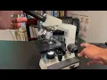 Microscope Basics - Parts Set up Focusing