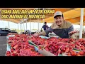 Download Lagu BISMILAH !! USAHA BARU SAYA JUALAN KURMA DARI MADINAH KE INDONESIA