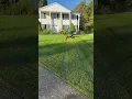 Download Lagu Saturday mornings are made for mowing! Check out the Hustler Raptor XDX 48 Inch Zero Turn Mower!