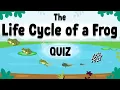 Frog Life Cycle Quiz Fun Facts Animated Explanations