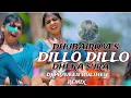 Download Lagu DILLO DILLO DHEKA SURA DUBAIRO VES _BANJARA SONG REMIX BY DJ PRAVEEN BOLTHEY