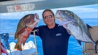 Clean and prepare Tuna, Dog Snapper, Jack, & Pompano LIVE!