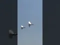 Download Lagu Two F-35 HIGH SPEED low pass and Vapor cone…Amazing Jet #f35 #fighterjet #usairforce