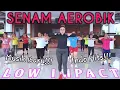 Download Lagu Senam Aerobik Low Impact Khusus Pemula | Musik Baru Indo Lawas Hits | Para Pejuang Sehat dan Bugar