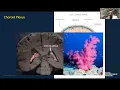 Neuroscience Grand Rounds April 2024