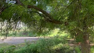 خطوة جنوبية مميزة   كلمات واداء   مفرح صمان وحسين صمان   دندنها