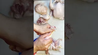 طريقة عمل الحمام الكداب للمبتدئين  دندنها