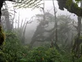 0bpm ambient mix Vol5 by jonesy
