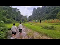 Download Lagu Khối nghỉ hè T2 lang thang vào bản gà Chín cựa hái rau rừng vịt suối. Nguyễn Tất Thắng
