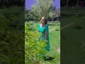 Download Lagu tune mere jana kabhi nahi jana #hindibollywood#ytshorts video ak yadav official
