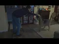 Inspiring Indiana Boy collects pet supplies to donate