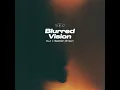 Blurred Vision - DLJ & Bastien Brison
