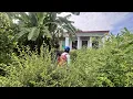 Download Lagu Father and son return to their hometown to rebuild their lives in a rural house abandoned 15 years.