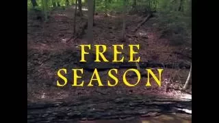 Download Pet Sun - Free Season MP3