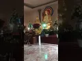 Di Lien funeral on 26 Nov 2021 clip 4