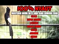 Download Lagu MASTERAN MURAI BATU DI PAGI HARI MERANGSANG MURAI ANDA AGAR IKUT BONGKAR MATERI MEWAH FULL TEMBAKAN