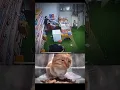 Download Lagu the kid is pro haha🤣#cat #funny #explore #memes #bombastic #viral #shorts