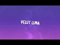 Alan Walker, Ava Max - FATE (Lyrics)
