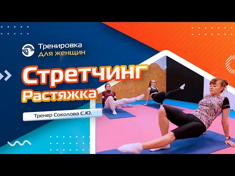 превью