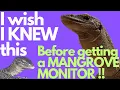 Top 5 things THEY DONT TELL YOU about mangrove monitors