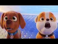 Download Lagu Baha Men - Who Let The Dogs Out (Damitrex Remix)  Paw Patrol (Music Video HD)