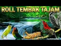 Lagu ROLL TEMBAK TAJAM ROLL PANJANG | MATERI MASTERAN ANTI NGUKLUK DI GANTANGAN