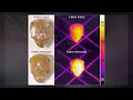 Download Lagu Saharan Silver Ant