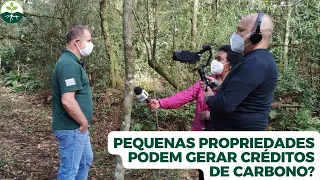 Pequenas propriedades podem gerar créditos de carbono?