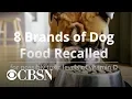 8 brands of dog food recalled