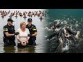 De Waarheid Achter De Polderdam Viskwekerij: Ze Voerde Haar Monsterlijke Snoeken Met Mensen.