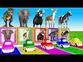 Download Lagu لبيك اللهم لبيك | تكبيرات العشر من ذي الحجة |تكبيرات يوم عرفه-تكبيرات عيد الأضحى🌷💛
