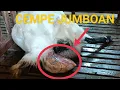 Download Lagu Detik-Detik Kambing Mau Melahirkan 3 Ekor Anak Cempean