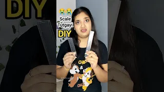 DIY Cute Scale