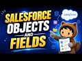 Salesforce Standard Objects vs Custom Objects Create Student Object Fields Beginner Tutorial