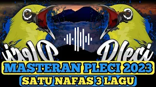 masteran pleci gacor terbaik 2024 terbaru satu nafas 3 lagu markas tjm masteranpleci