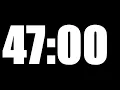 47 MINUTE TIMER LOUD ALARM