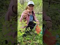 FULL Morel mushroom hunting in East Central Illinois - Wild foraged foods