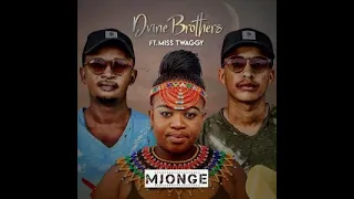 dvine brothers miss twaggy mjonge amapiano mix