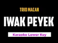 Download Lagu Trio Macan - Iwak Peyek Karaoke