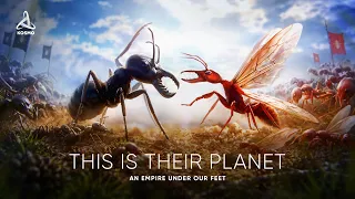 An Empire under Our Feet. How Ants Captured the Earth