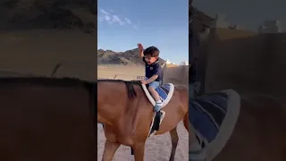 فرحته اذا راح للإسطبل 