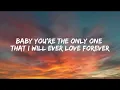 Download Lagu THANKYOU FOR EVERYTHING ~ Diego Gonzalez (Lyrics)