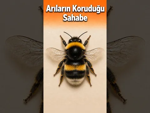 Allah'ın Arı Ordusuyla Koruduğu Sahabe