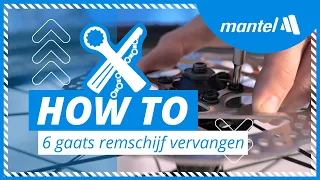Afbeelding nummer 6