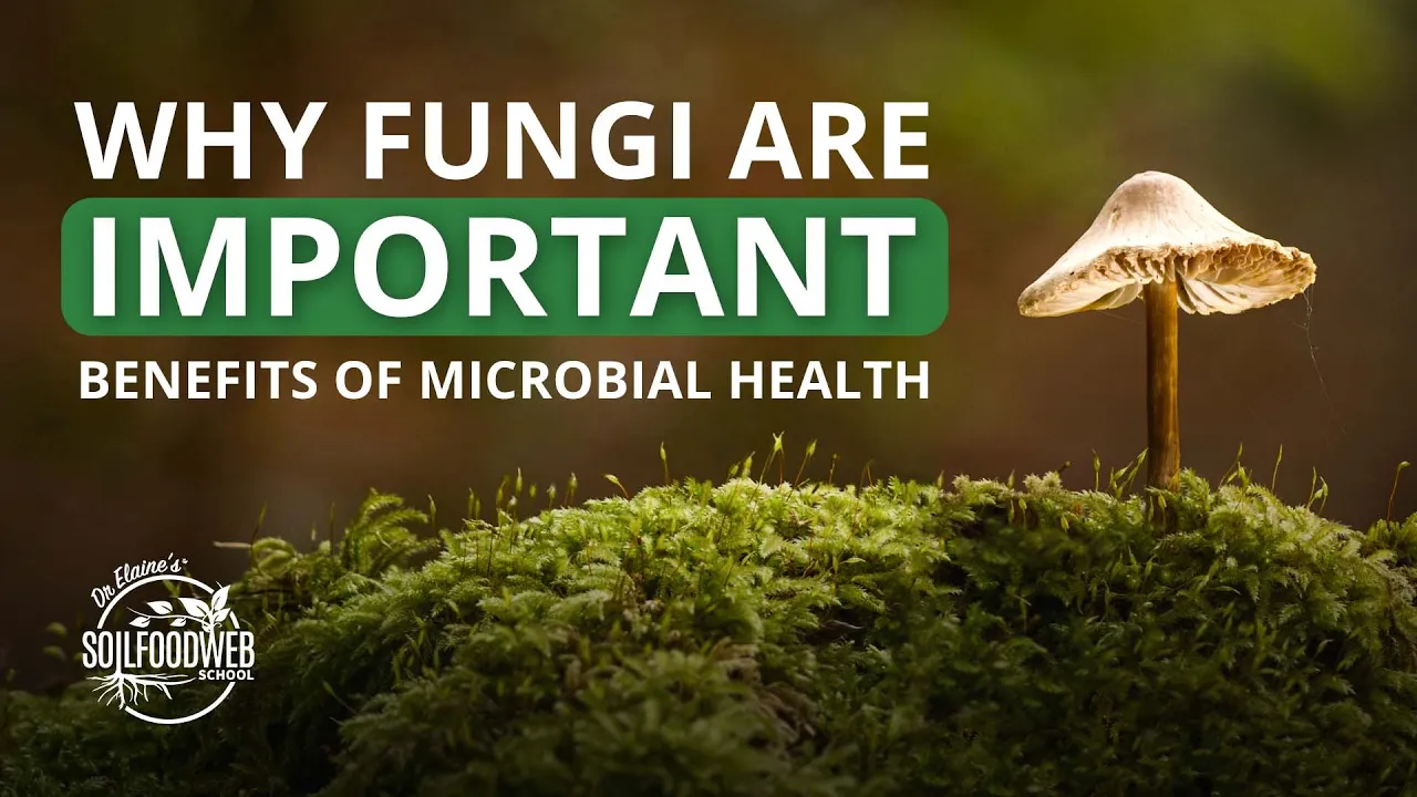 Mycology Lecture | Fungal Fun with Peter McCoy Dr. Mary Cole, and Dr. Elaine Ingham