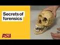 ASU All Access ASU s forensic science program