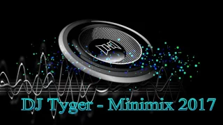 Download DJ Tyger - Minimix 2017 MP3